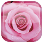 Logo of Rose android Application 